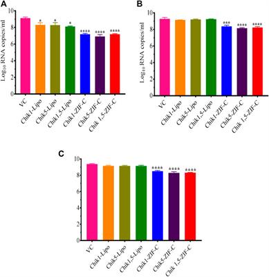 Targeted in vitro gene silencing of E2 and nsP1 genes of chikungunya virus by biocompatible zeolitic imidazolate framework